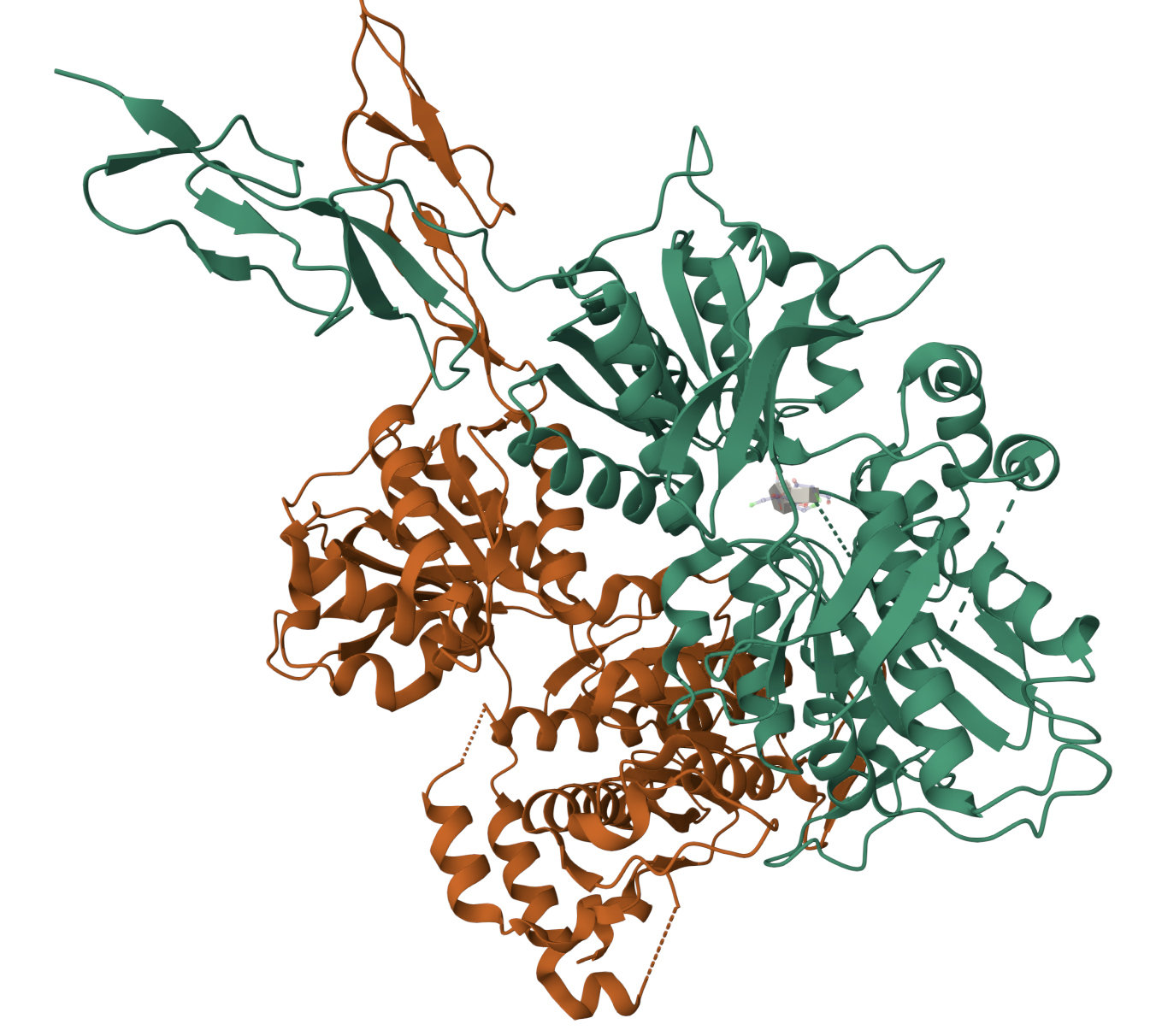 GPCR