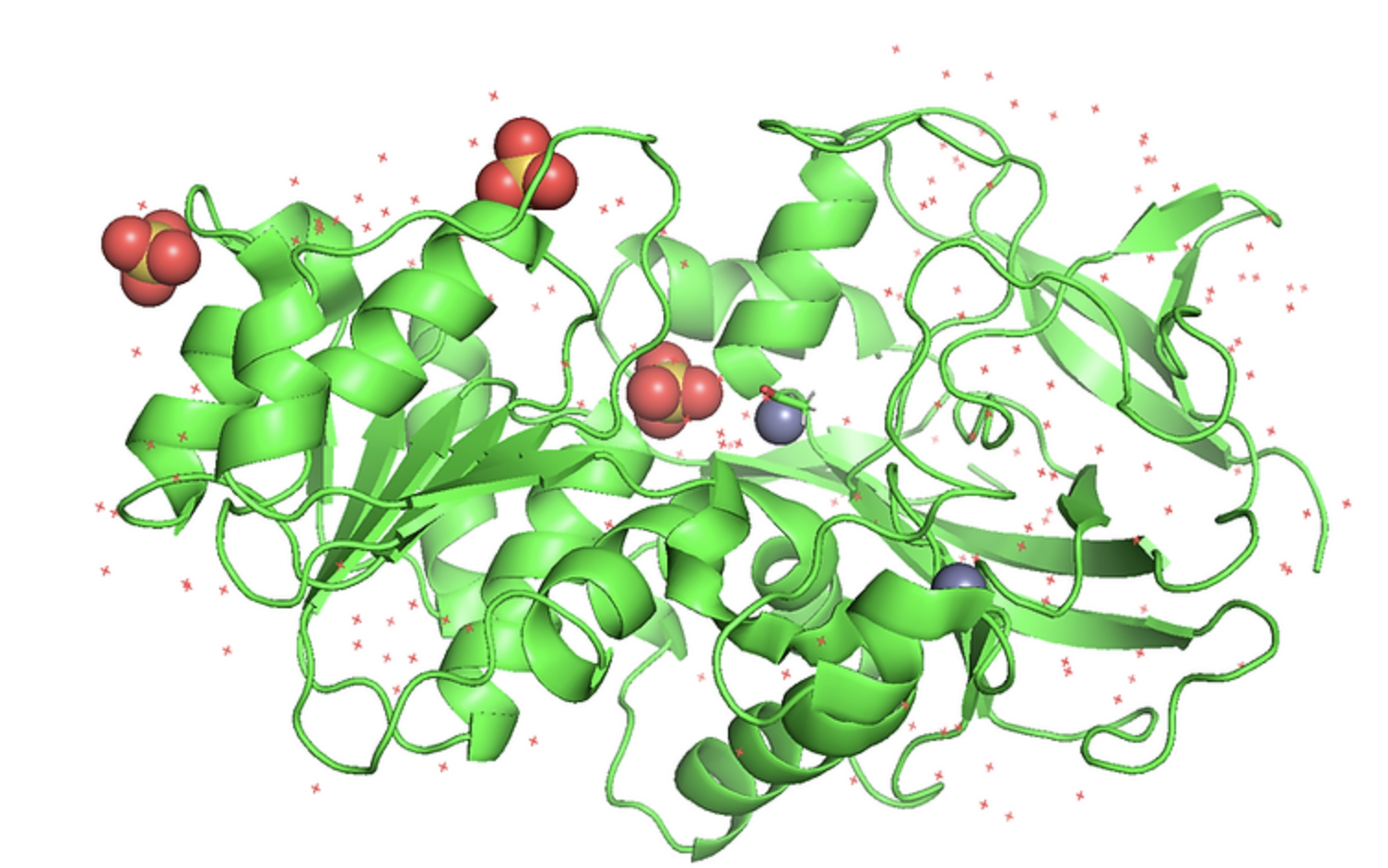 Alcoholic-fermentation pathway