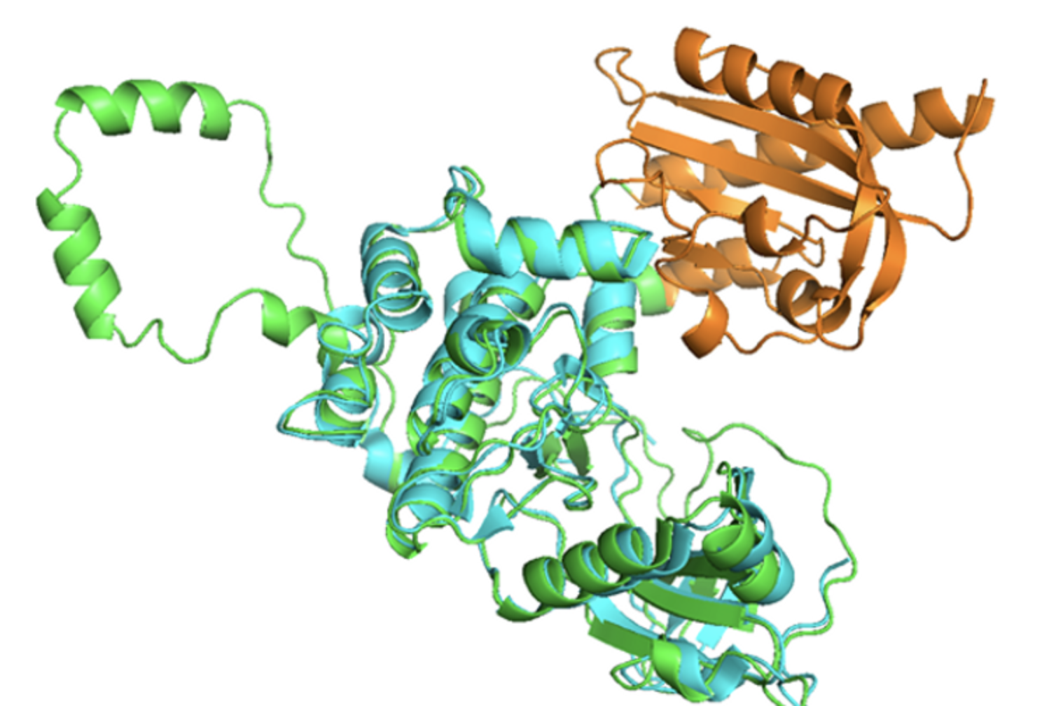 Light-activated kinases