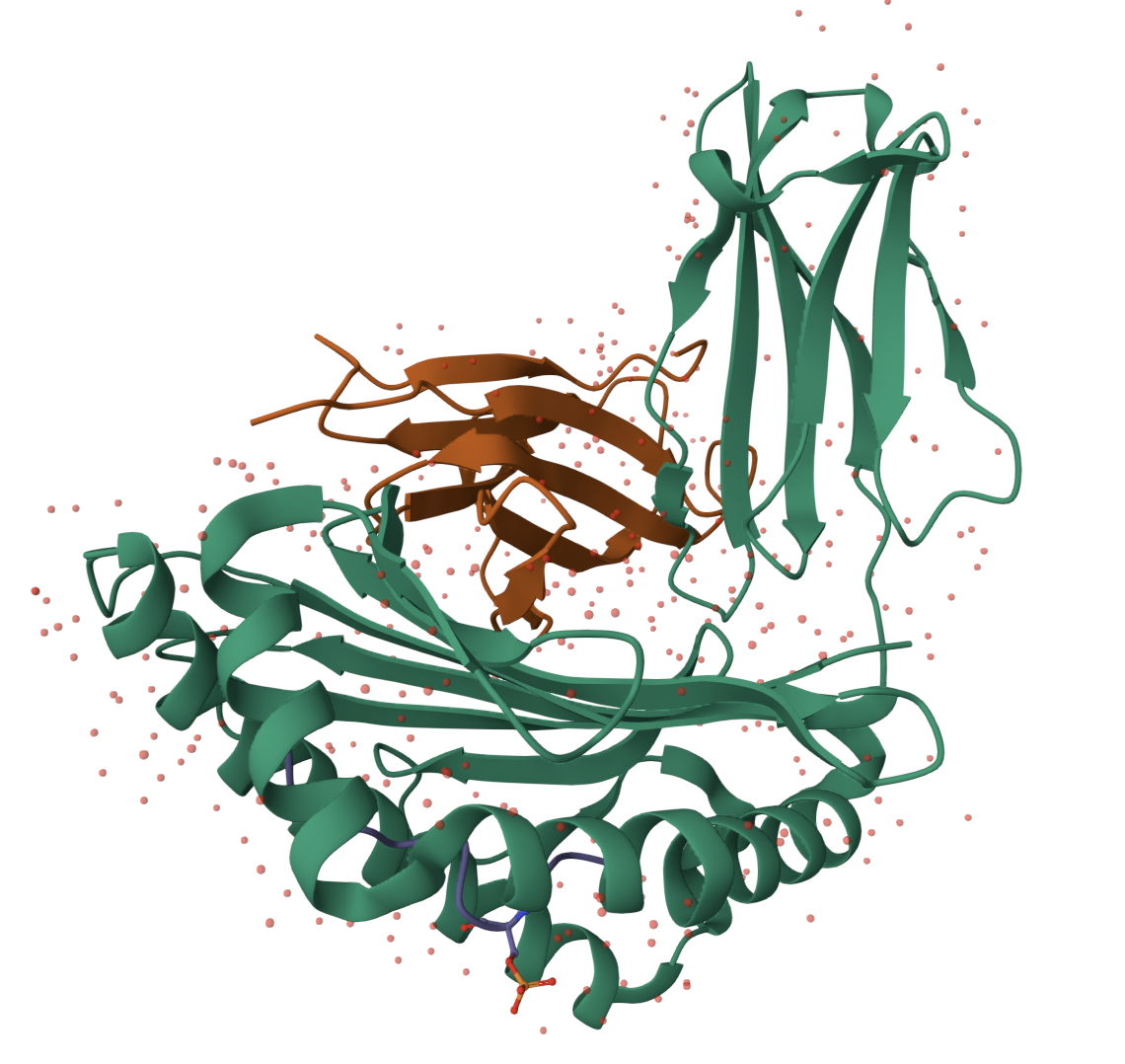 Phosphosite engineering protein